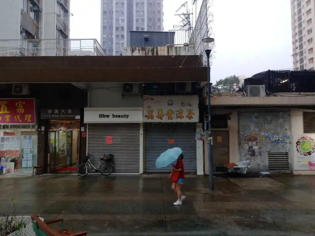 十年風雨再回來